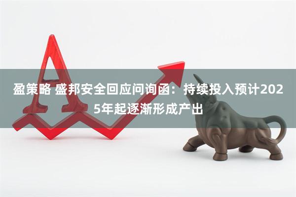 盈策略 盛邦安全回应问询函：持续投入预计2025年起逐渐形成产出