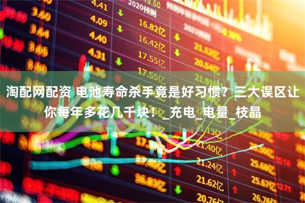 淘配网配资 电池寿命杀手竟是好习惯？三大误区让你每年多花几千块！_充电_电量_枝晶