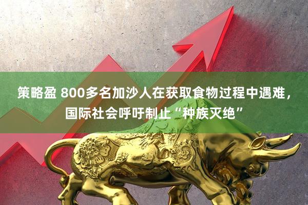 策略盈 800多名加沙人在获取食物过程中遇难，国际社会呼吁制止“种族灭绝”