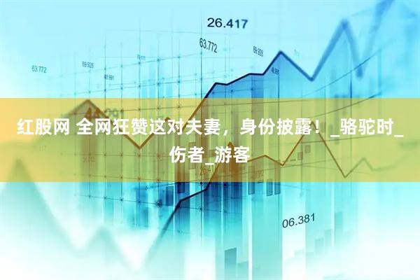 红股网 全网狂赞这对夫妻，身份披露！_骆驼时_伤者_游客