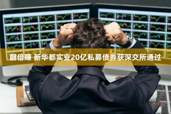 翻倍赚 新华都实业20亿私募债券获深交所通过